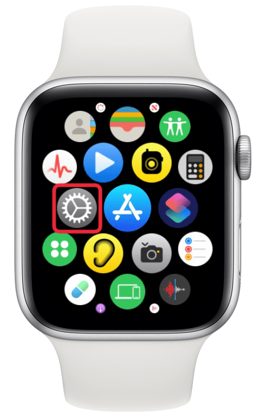 tocar na aplicação de definições do Apple Watch
