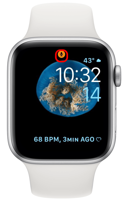 Apple watch best sale icono i