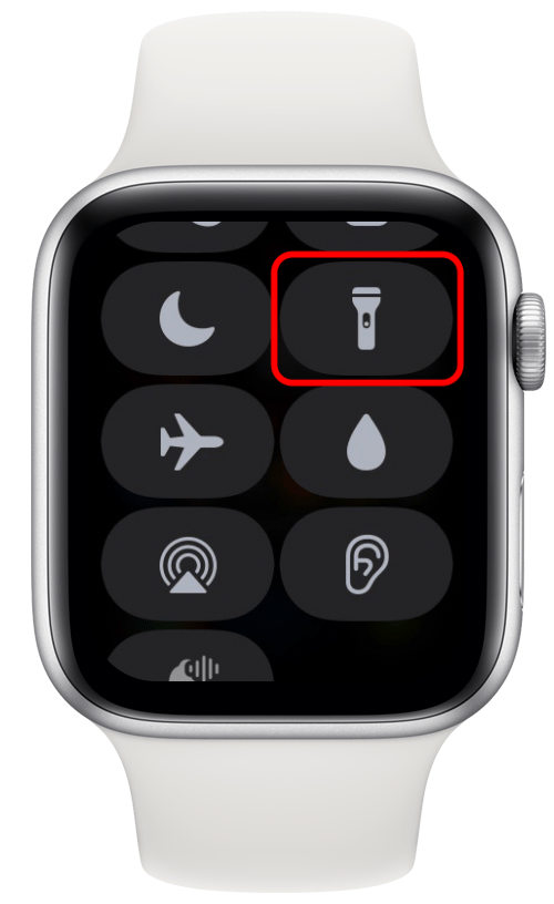 What are the apple watch online icons