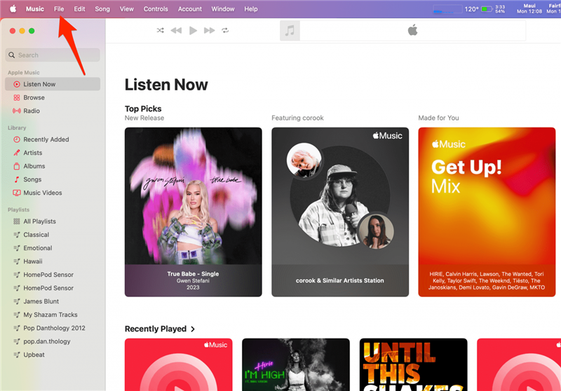 Ouvrez Apple Music sur votre Mac (cela fonctionnera également sur votre iPad), puis cliquez sur Fichier.