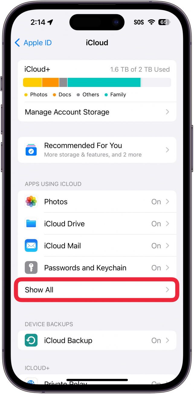 les réglages de l'application icloud de l'iphone avec un encadré rouge autour du bouton "montrer tout
