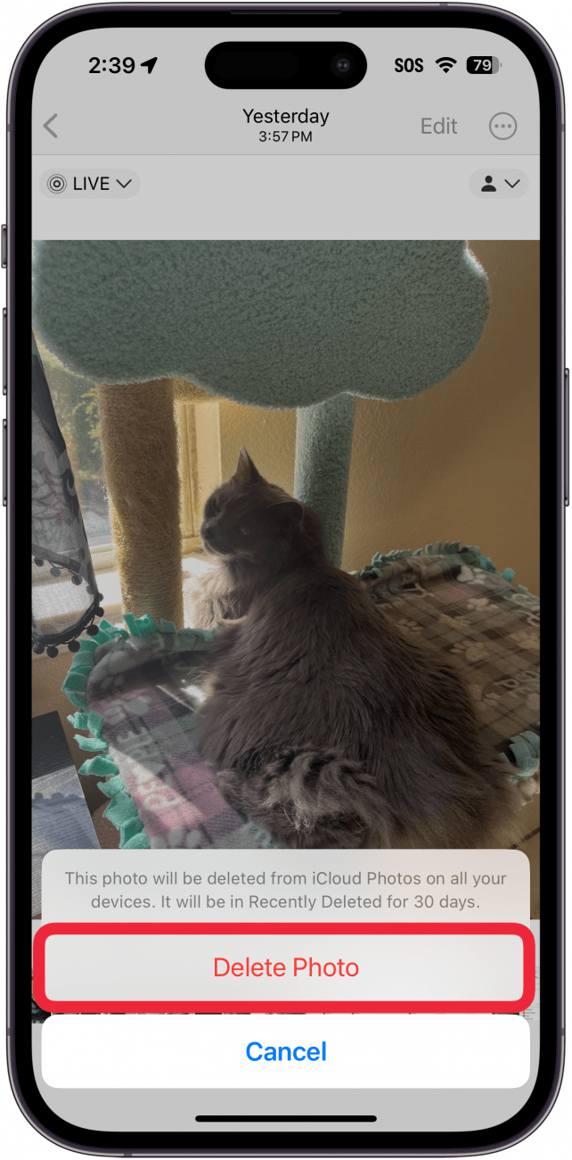 a aplicação de fotos do iphone apresenta uma foto com uma janela pop-up de confirmação de eliminação e uma caixa vermelha à volta do botão de eliminar foto