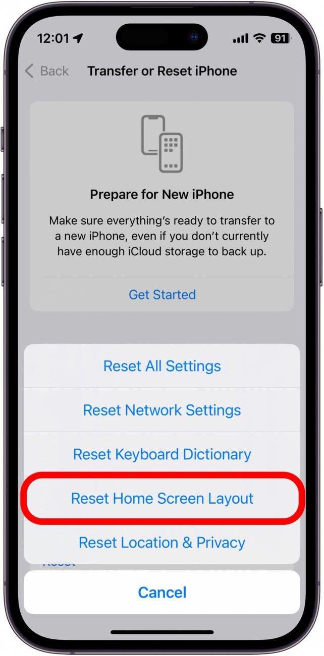 Capture d'écran des options de réinitialisation de l'iPhone avec l'option de réinitialisation de l'écran d'accueil entourée en rouge.