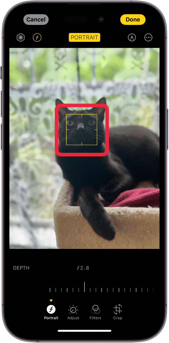 Редактор фотографий iphone с красной рамкой вокруг желтого квадрата зоны фокусировки