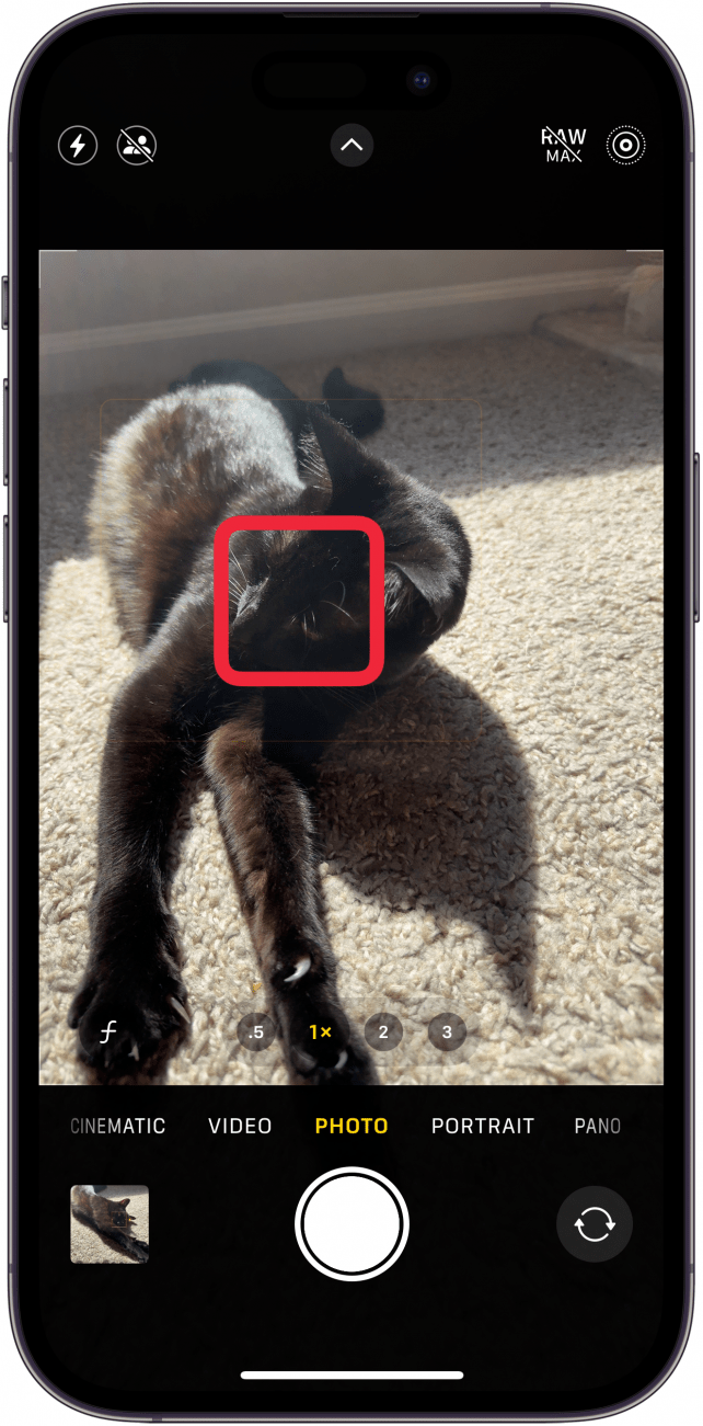 Aplicação de câmara para iphone com uma caixa vermelha no visor, indicando que o utilizador deve tocar para focar