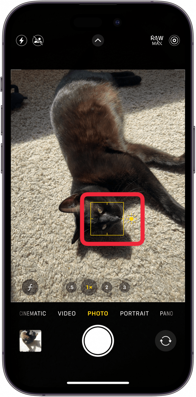 자동 초점 사각형 주위에 빨간색 상자가 있는 iPhone 카메라 앱