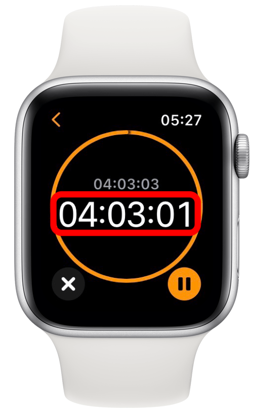 Votre minuteur commencera à décompter - comment voir le minuteur sur l'apple watch