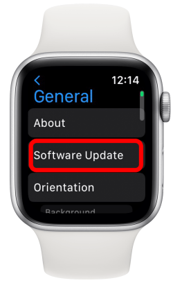 Apple Watch Software-Update zur Behebung von Störungen des Apple Watch-Bildschirms