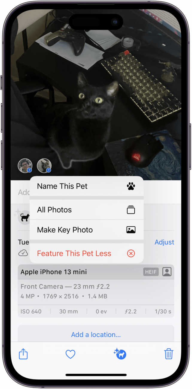 photo d'un chat noir dans l'application photos avec les infos de la photo affichées