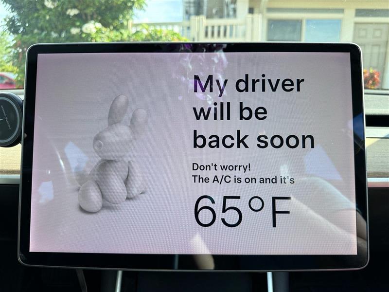 Водителю придется выйти из автомобиля, чтобы на экране появился режим "Собака".