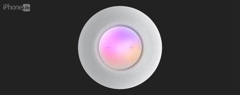 HomePod＆HomePod Mini Physical Controlsの使用方法（2023）
