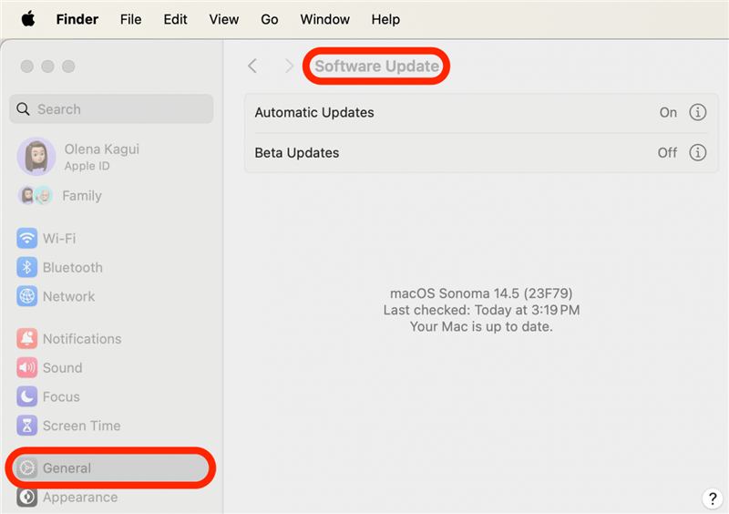 Ardından, Mac'iniz için kullanılabilir bir güncelleme olup olmadığına bakın.