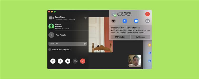 Hvordan FaceTime -skjermdelingen på Mac (2022) - Tips, tricks, användbar  iPhone och iPad