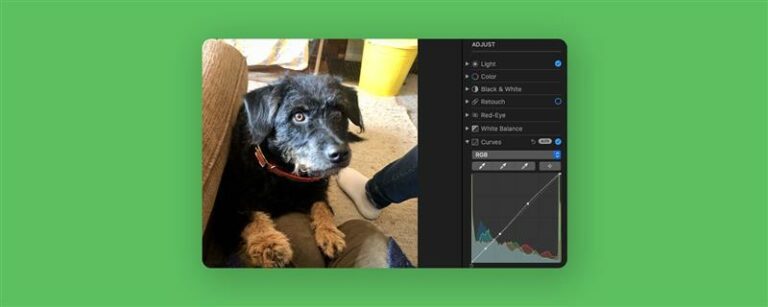 Macで写真とビデオを編集する方法（2023年の更新）
