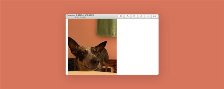 Macの写真やビデオにフィルターを置く方法（2023 Update）