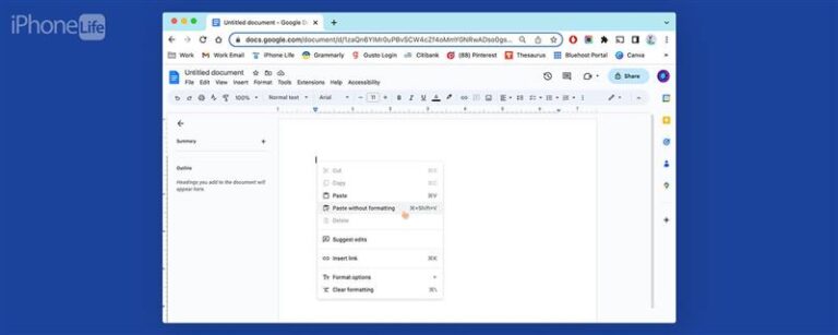 MACでフォーマットせずに貼り付ける方法