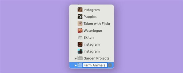 Macのフォルダーにアルバムをグループ化する方法（2023アップデート）