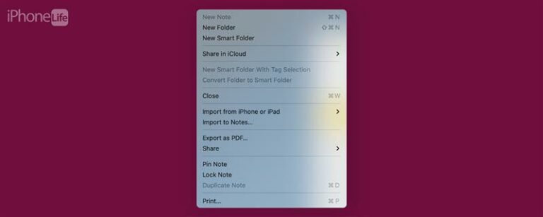 解決策：Macに新しいメモを作成できません