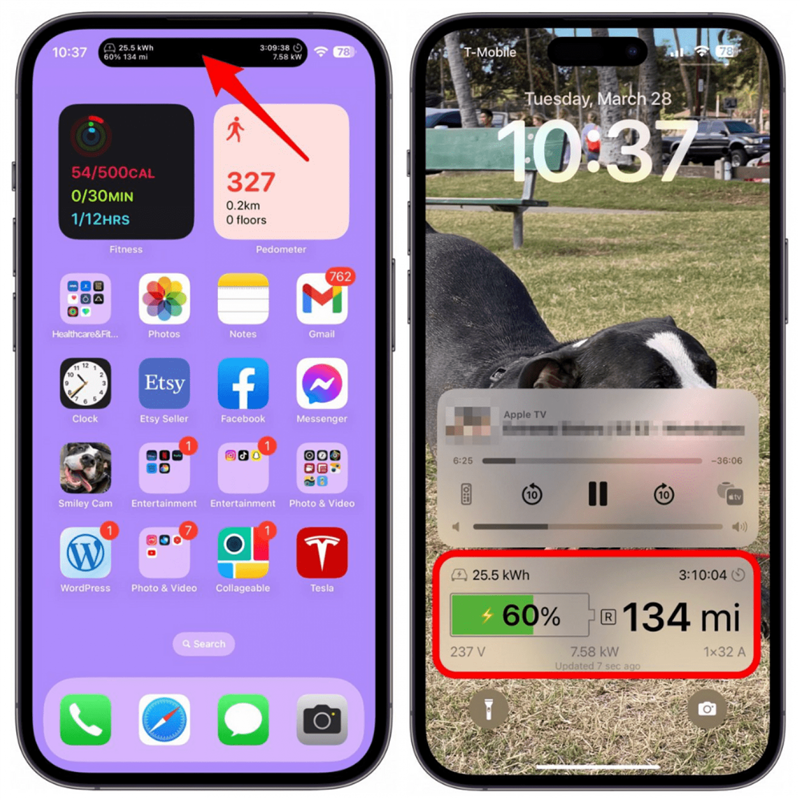 Mejor aplicación Tesla para usuarios de Apple Watch
