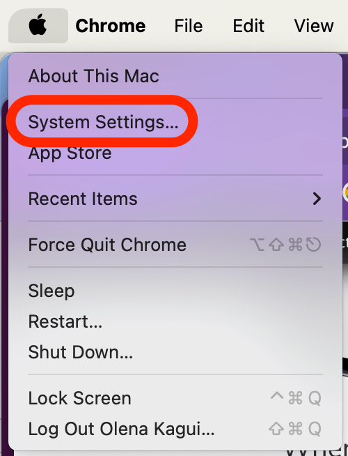 메뉴 막대의 왼쪽 상단에 있는 Apple 로고를 클릭하고 시스템 설정을 선택합니다.
