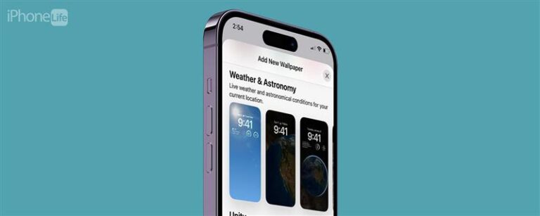 iPhoneとiPadの壁紙を変更する方法