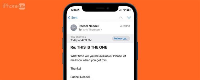 Apple Mailのフォローアップ：説明