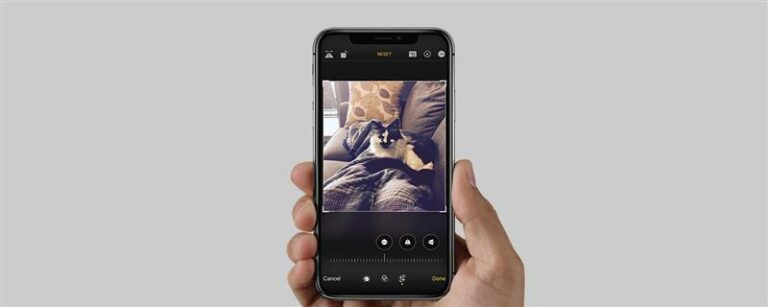 iPhone＆iPadで写真をトリミングする方法（2023）