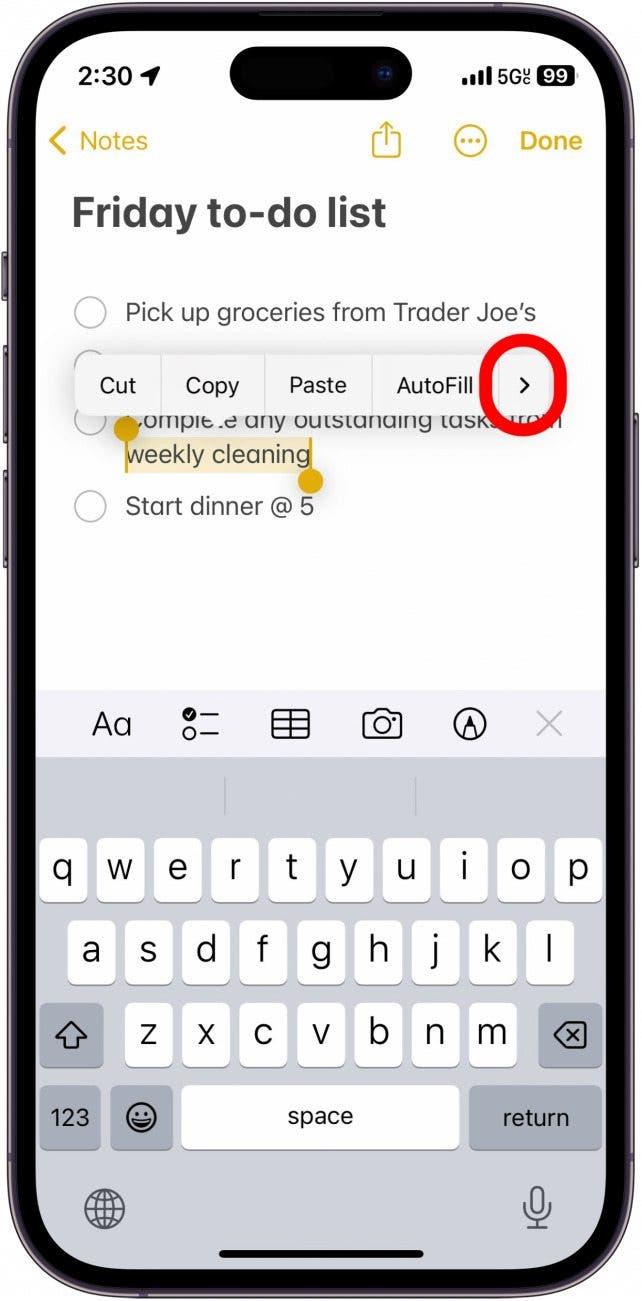 iphone-Notiz mit ausgewähltem Text, die ein Menü mit einem roten Kreis um einen nach rechts gerichteten Pfeil anzeigt