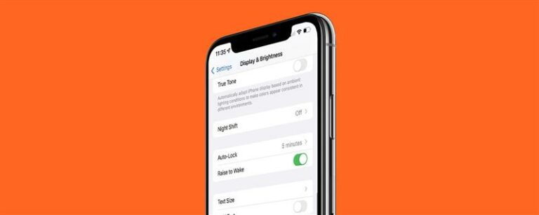 Raise to Wake iPhone101：それをオンとオフにする方法（2023）