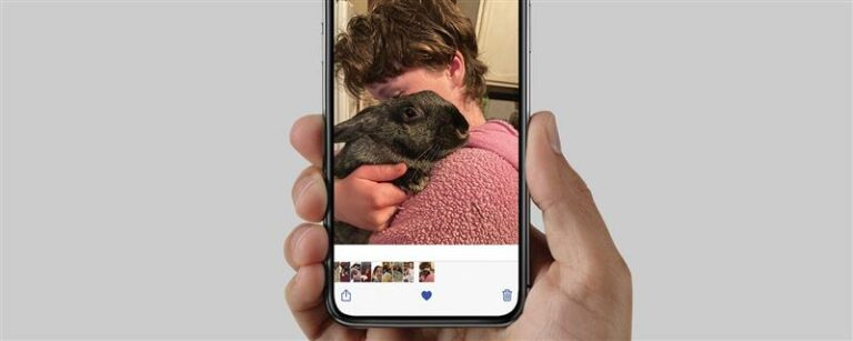 写真をお気に入り、iPhoneで簡単に見つける方法（2023）