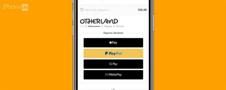 店内およびオンラインの支払いにはiPhoneでApple Payを使用する（2023）
