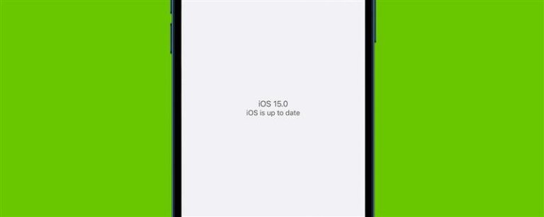iPhoneで実行しているiOSバージョンを確認する方法（2023）