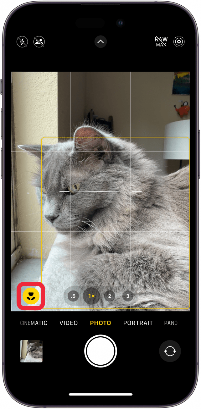 L'application caméra de l'iPhone affiche une icône de fleur jaune avec une boîte rouge autour d'elle.