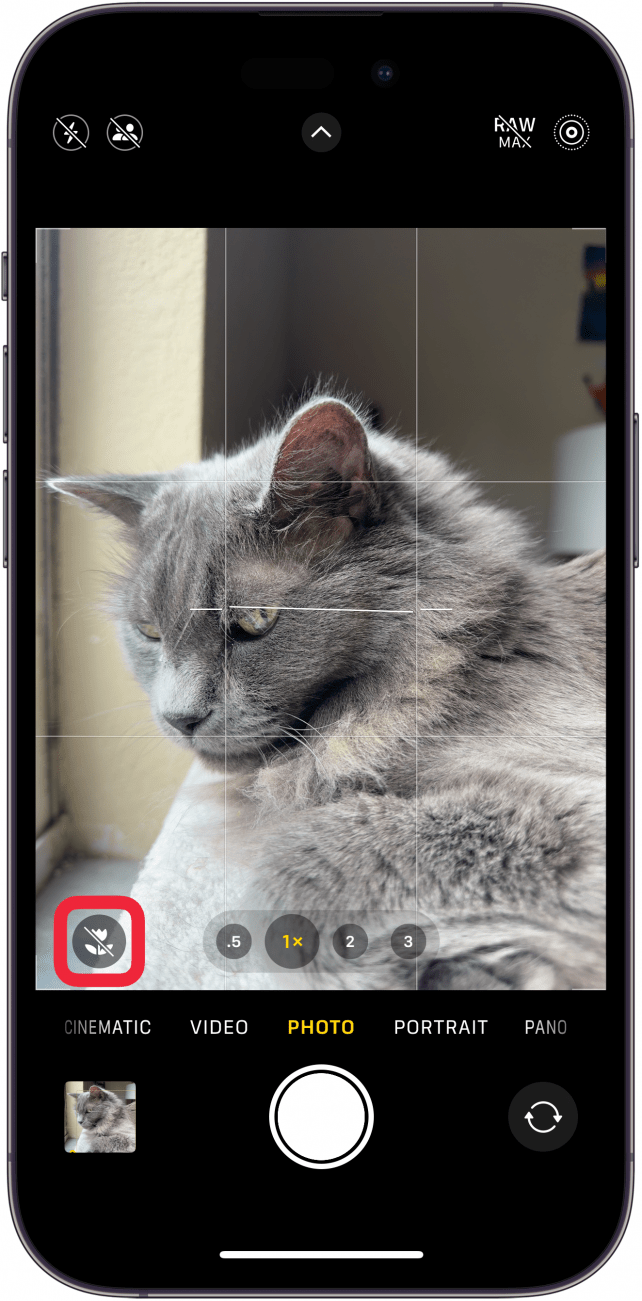 Aplikace fotoaparátu iphone zobrazující šedou ikonu květiny s lomítkem a červeným rámečkem kolem ní.