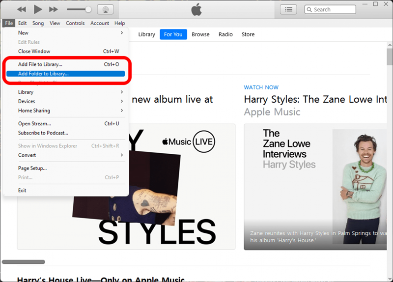 "iTunes