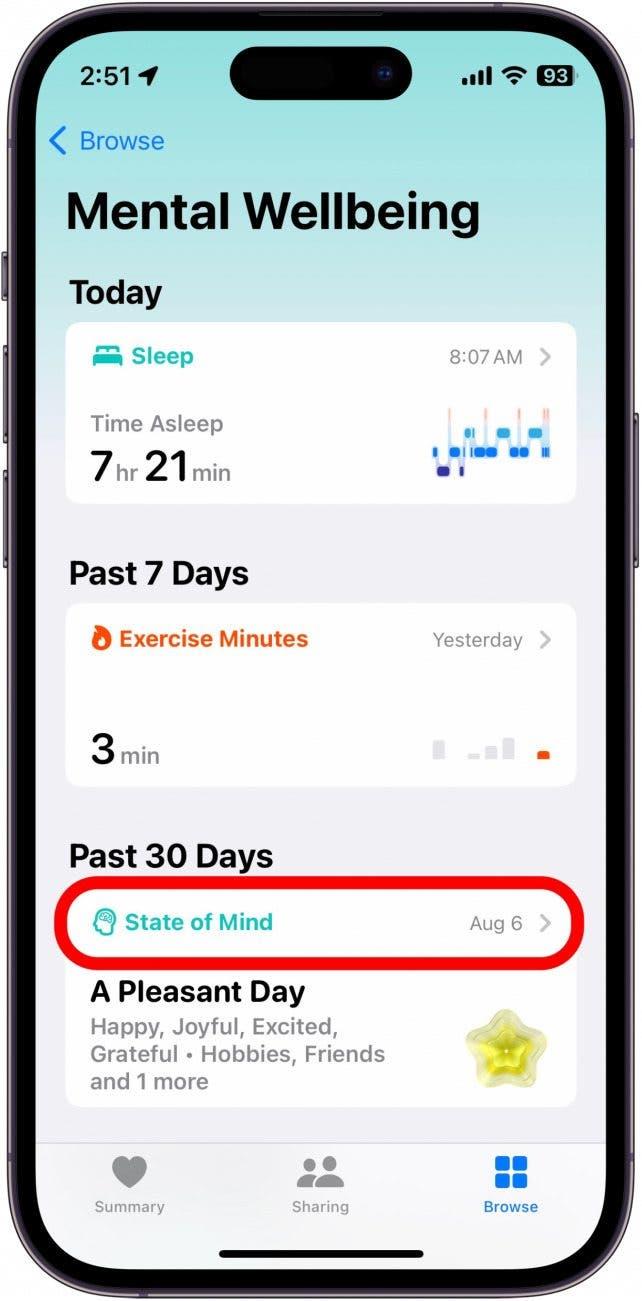 écran iphone santé bien-être mental avec état d'esprit entouré en rouge
