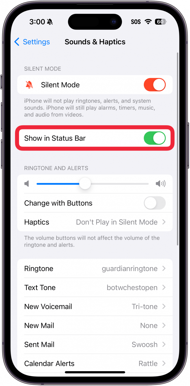 ajustes de sonidos y hápticos del iphone con un recuadro rojo alrededor de mostrar en la barra de estado alternar