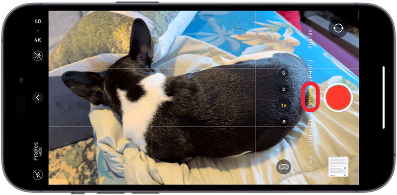 Tenere l'iPhone in modalità orizzontale e navigare in modalità video nell'app Fotocamera.