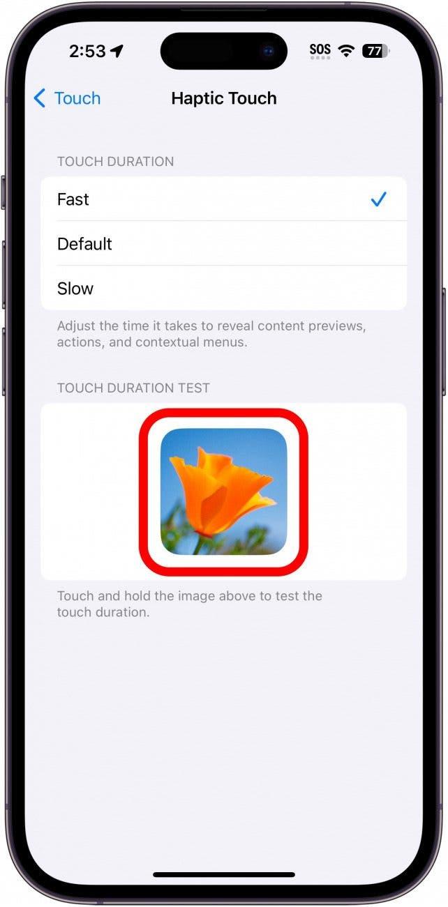 Paramètres tactiles de l'iPhone avec un cercle rouge autour de l'image de test de la durée du toucher, indiquant à l'utilisateur qu'il doit appuyer sur l'image et la maintenir.