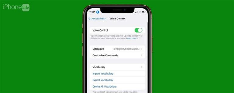 音声コマンドを使用してiPhoneと閉じるアプリのロックを解除する（2023）