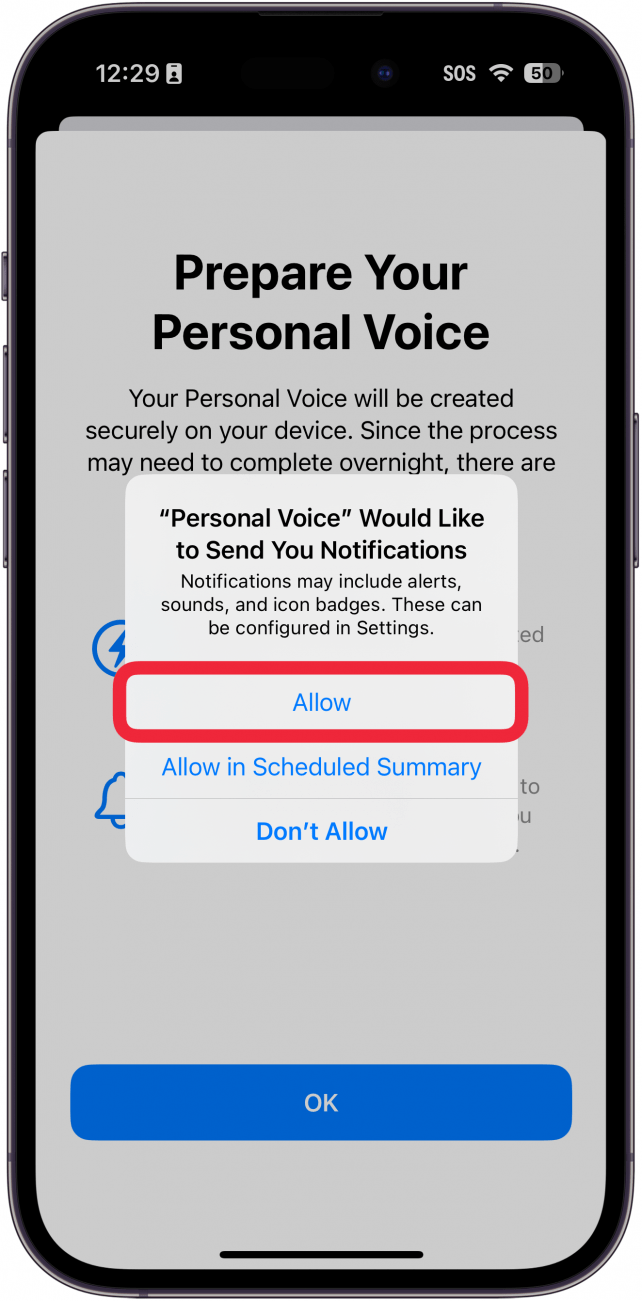 лични гласови настройки на iphone, показващи прозорец, в който се пита дали потребителят иска да разреши известия, с червена рамка около бутона за разрешаване