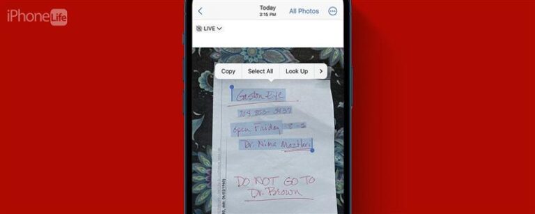 iPhoneの写真からテキストをすばやくコピーする方法（2023）