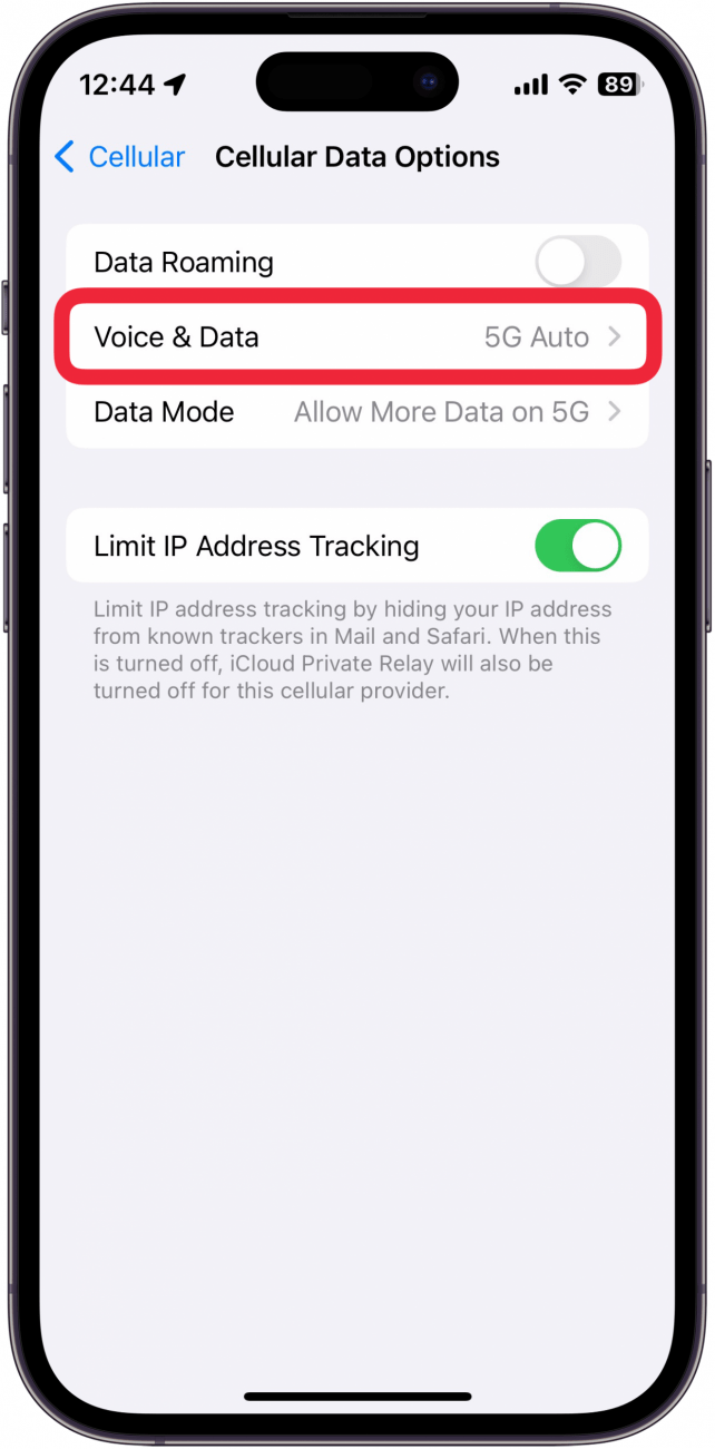 menu de opções de dados celulares do iphone com uma caixa vermelha à volta de voz e dados