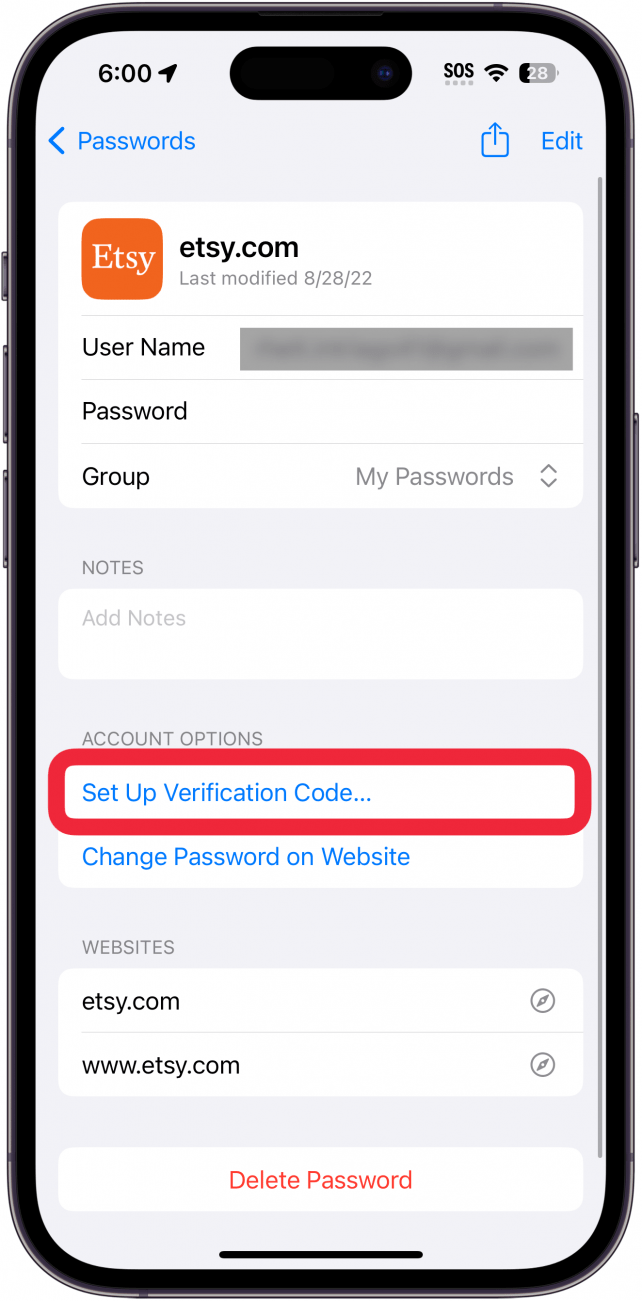 schermata delle password dell'iphone che visualizza le informazioni sull'account etsy con il pulsante per l'impostazione del codice di verifica cerchiato in rosso