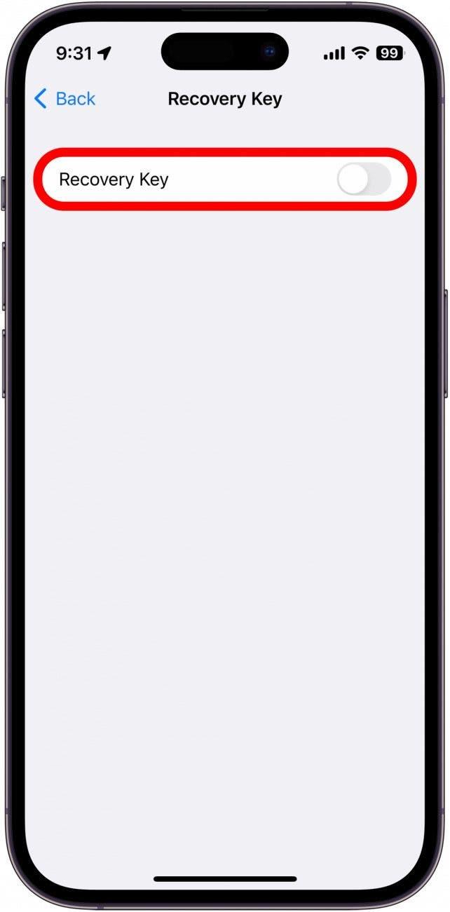 obrazovka klíče pro obnovení účtu iphone s červeným rámečkem kolem přepínače klíče pro obnovení