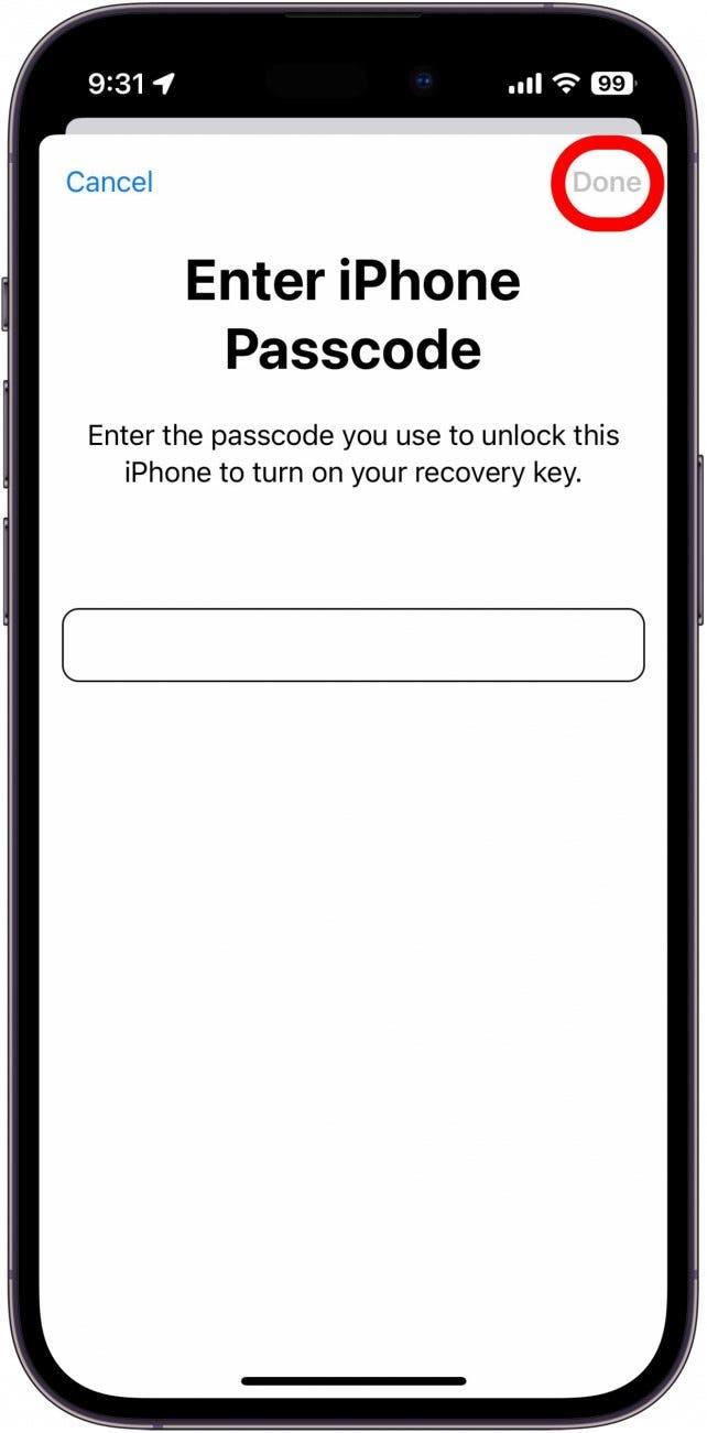 iphone herstelsleutel instellen, waarbij de gebruiker wordt gevraagd zijn iphonewachtwoord in te voeren met een rood vakje rond de volgende knop