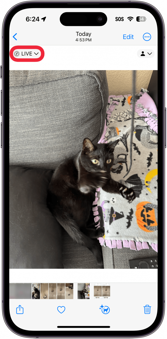 iphone foto's app met een foto van een zwarte kat die met een touwtje speelt met een rood vak rond de live knop
