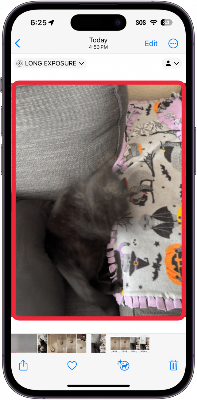 iphone photos app um ein jetzt konvertiertes Langzeitbelichtungsfoto einer schwarzen Katze, die mit einer Schnur spielt