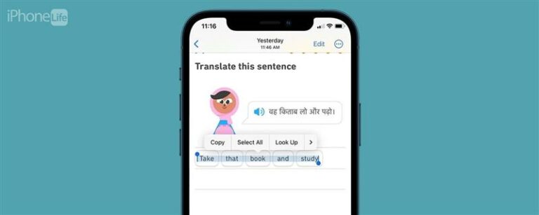 iPhoneアプリからテキストをコピーして貼り付けることができない場合の対処方法（iOS 16）