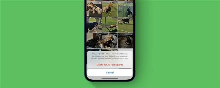 iOS 16共有写真ライブラリ：写真を削除するとどうなりますか？